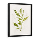 Sapling I - Victoria Borges | Cuadro decorativo de Canvas Lab