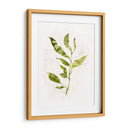 Sapling I - Victoria Borges | Cuadro decorativo de Canvas Lab