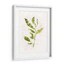 Sapling I - Victoria Borges | Cuadro decorativo de Canvas Lab