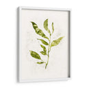 Sapling I - Victoria Borges | Cuadro decorativo de Canvas Lab