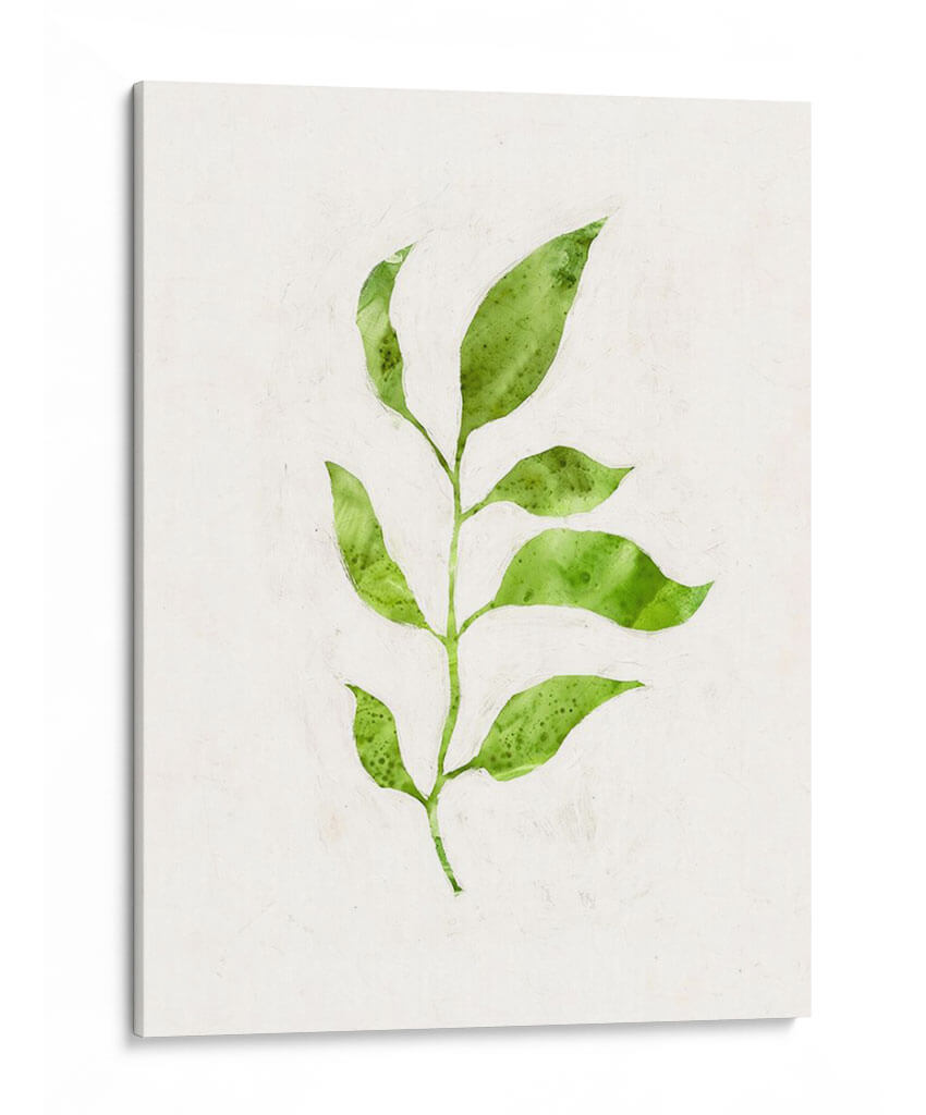 Saping Ii - Victoria Borges | Cuadro decorativo de Canvas Lab