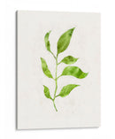 Saping Ii - Victoria Borges | Cuadro decorativo de Canvas Lab