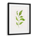 Saping Ii - Victoria Borges | Cuadro decorativo de Canvas Lab