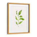 Saping Ii - Victoria Borges | Cuadro decorativo de Canvas Lab