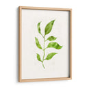 Saping Ii - Victoria Borges | Cuadro decorativo de Canvas Lab