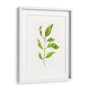 Saping Ii - Victoria Borges | Cuadro decorativo de Canvas Lab