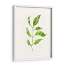 Saping Ii - Victoria Borges | Cuadro decorativo de Canvas Lab