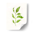 Saping Ii - Victoria Borges | Cuadro decorativo de Canvas Lab