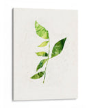 Saping Iii - Victoria Borges | Cuadro decorativo de Canvas Lab