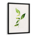 Saping Iii - Victoria Borges | Cuadro decorativo de Canvas Lab