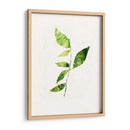 Saping Iii - Victoria Borges | Cuadro decorativo de Canvas Lab