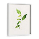 Saping Iii - Victoria Borges | Cuadro decorativo de Canvas Lab