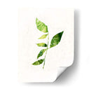 Saping Iii - Victoria Borges | Cuadro decorativo de Canvas Lab