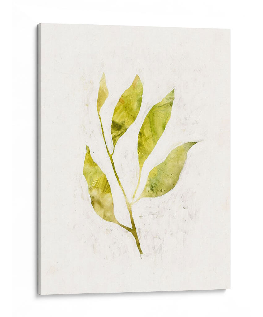 Saping Iv - Victoria Borges | Cuadro decorativo de Canvas Lab