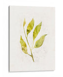 Saping Iv - Victoria Borges | Cuadro decorativo de Canvas Lab