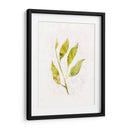 Saping Iv - Victoria Borges | Cuadro decorativo de Canvas Lab