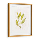 Saping Iv - Victoria Borges | Cuadro decorativo de Canvas Lab