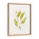 Saping Iv - Victoria Borges | Cuadro decorativo de Canvas Lab