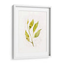 Saping Iv - Victoria Borges | Cuadro decorativo de Canvas Lab