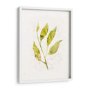 Saping Iv - Victoria Borges | Cuadro decorativo de Canvas Lab