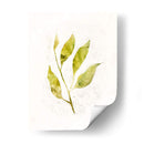 Saping Iv - Victoria Borges | Cuadro decorativo de Canvas Lab