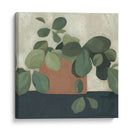 Jade Hoya I - Emma Scarvey | Cuadro decorativo de Canvas Lab