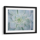 Libro De Cuentos Suculento I - Jason Johnson | Cuadro decorativo de Canvas Lab