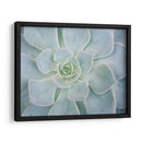 Libro De Cuentos Suculento I - Jason Johnson | Cuadro decorativo de Canvas Lab