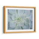 Libro De Cuentos Suculento I - Jason Johnson | Cuadro decorativo de Canvas Lab