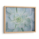 Libro De Cuentos Suculento I - Jason Johnson | Cuadro decorativo de Canvas Lab