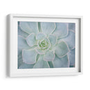 Libro De Cuentos Suculento I - Jason Johnson | Cuadro decorativo de Canvas Lab