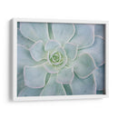 Libro De Cuentos Suculento I - Jason Johnson | Cuadro decorativo de Canvas Lab