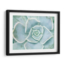 Libro De Cuentos Suculento Ii - Jason Johnson | Cuadro decorativo de Canvas Lab