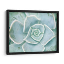 Libro De Cuentos Suculento Ii - Jason Johnson | Cuadro decorativo de Canvas Lab