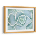 Libro De Cuentos Suculento Ii - Jason Johnson | Cuadro decorativo de Canvas Lab