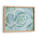 Libro De Cuentos Suculento Ii - Jason Johnson | Cuadro decorativo de Canvas Lab