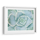 Libro De Cuentos Suculento Ii - Jason Johnson | Cuadro decorativo de Canvas Lab