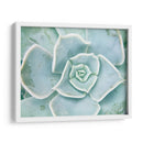 Libro De Cuentos Suculento Ii - Jason Johnson | Cuadro decorativo de Canvas Lab