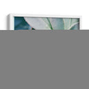 Libro De Cuentos Suculento Iii - Jason Johnson | Cuadro decorativo de Canvas Lab