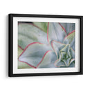 Desert Star I - Jason Johnson | Cuadro decorativo de Canvas Lab