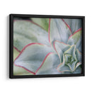 Desert Star I - Jason Johnson | Cuadro decorativo de Canvas Lab