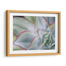 Desert Star I - Jason Johnson | Cuadro decorativo de Canvas Lab