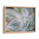 Desert Star I - Jason Johnson | Cuadro decorativo de Canvas Lab