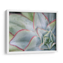 Desert Star I - Jason Johnson | Cuadro decorativo de Canvas Lab