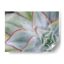 Desert Star I - Jason Johnson | Cuadro decorativo de Canvas Lab