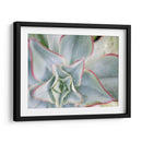 Estrella Desierta Ii - Jason Johnson | Cuadro decorativo de Canvas Lab