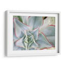 Estrella Desierta Ii - Jason Johnson | Cuadro decorativo de Canvas Lab