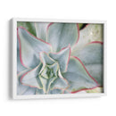 Estrella Desierta Ii - Jason Johnson | Cuadro decorativo de Canvas Lab