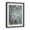 Jardín Colgante Suculento I - Jason Johnson | Cuadro decorativo de Canvas Lab