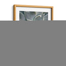 Jardín Colgante Suculento I - Jason Johnson | Cuadro decorativo de Canvas Lab